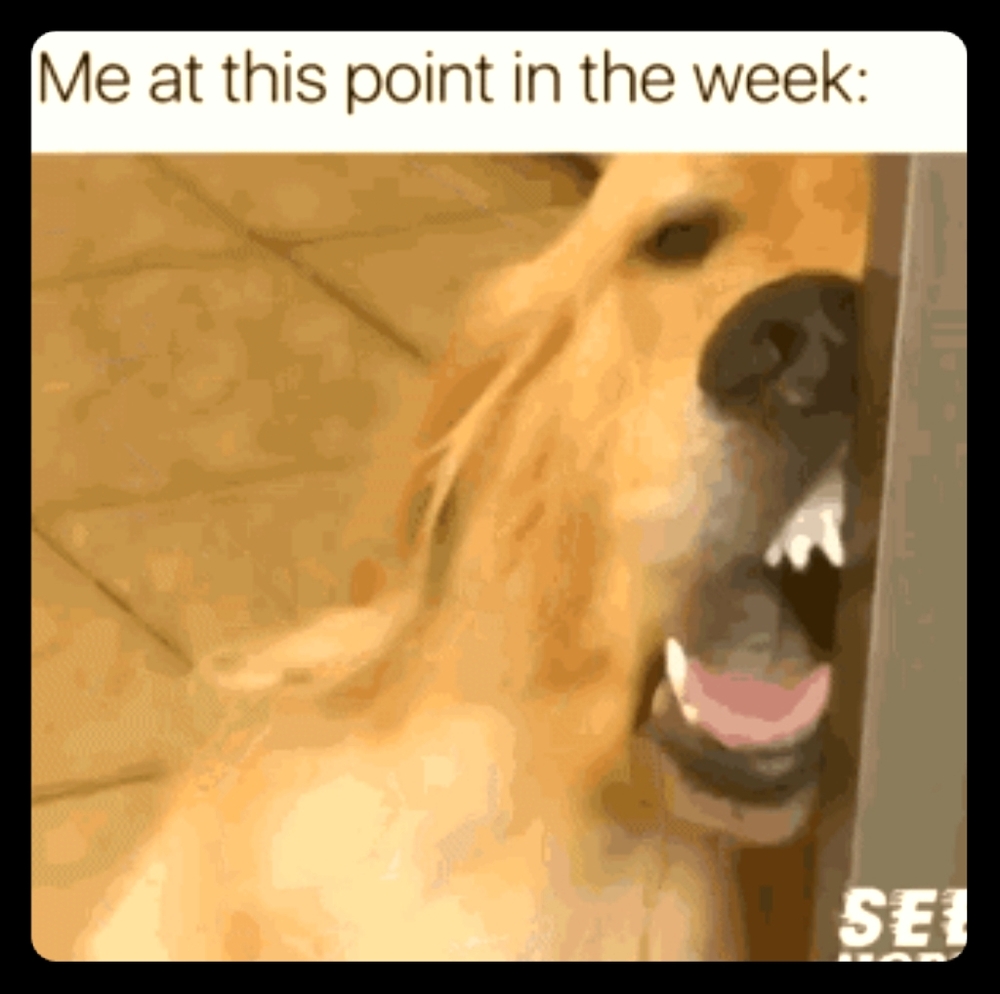 Not selling makes me feel like this pupper...